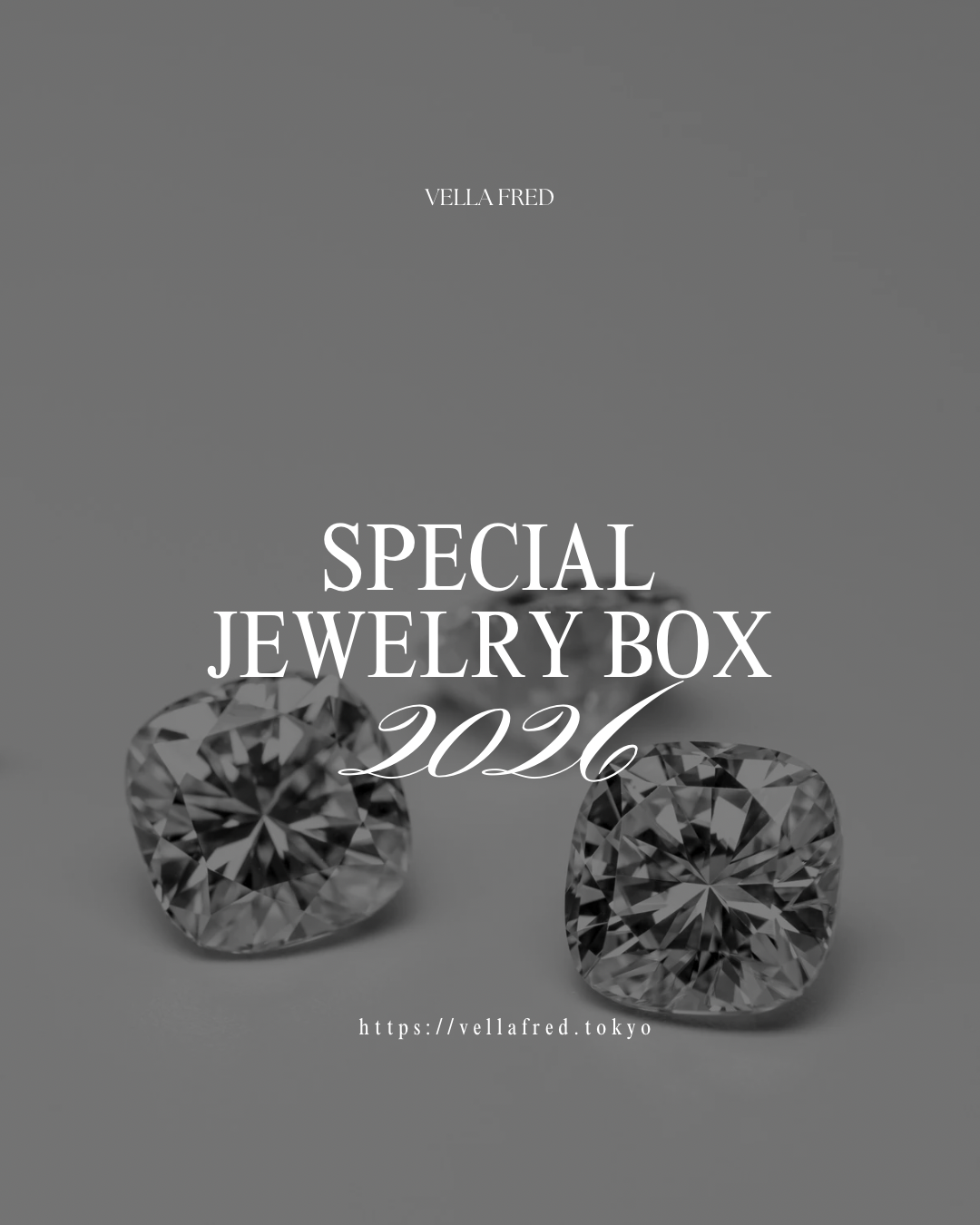 SPECIAL JEWELRY SET 2026